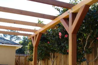 Burlingame trellise